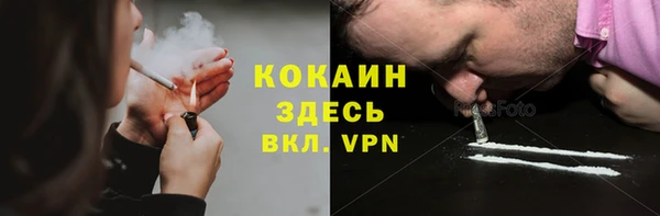 apvp Горняк