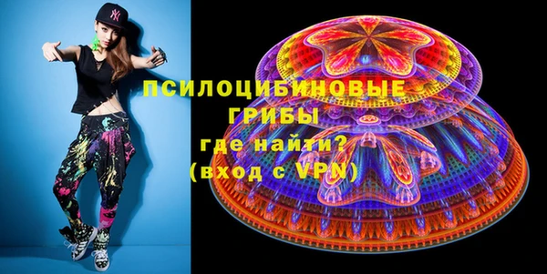 стаф Горнозаводск