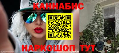 дживик Тара