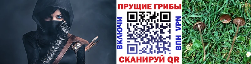 Псилоцибиновые грибы Magic Shrooms  Тольятти 