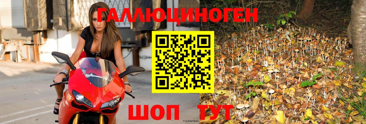 Галлюциногенные грибы прущие грибы Тольятти
