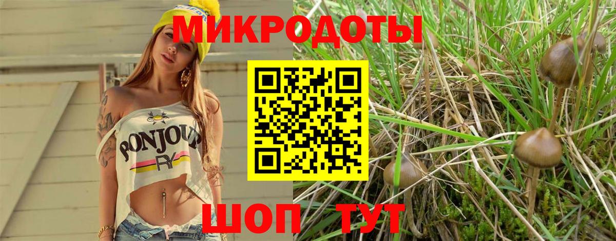 Псилоцибиновые грибы Cubensis  Галлюциногенные грибы ЛСД  Вход с VPN  Тольятти 