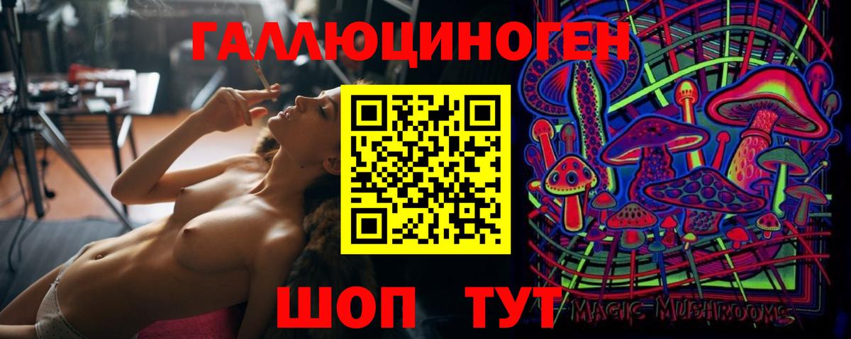 Галлюциногенные грибы Psilocybine cubensis Тольятти